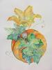 Pumpkin - 14x17 - watercolor